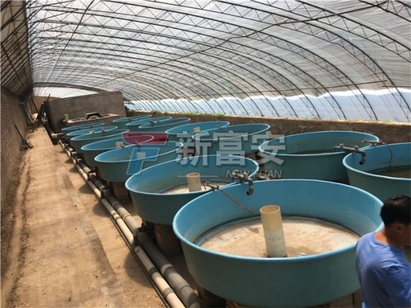 玻璃鋼魚(yú)苗孵化桶